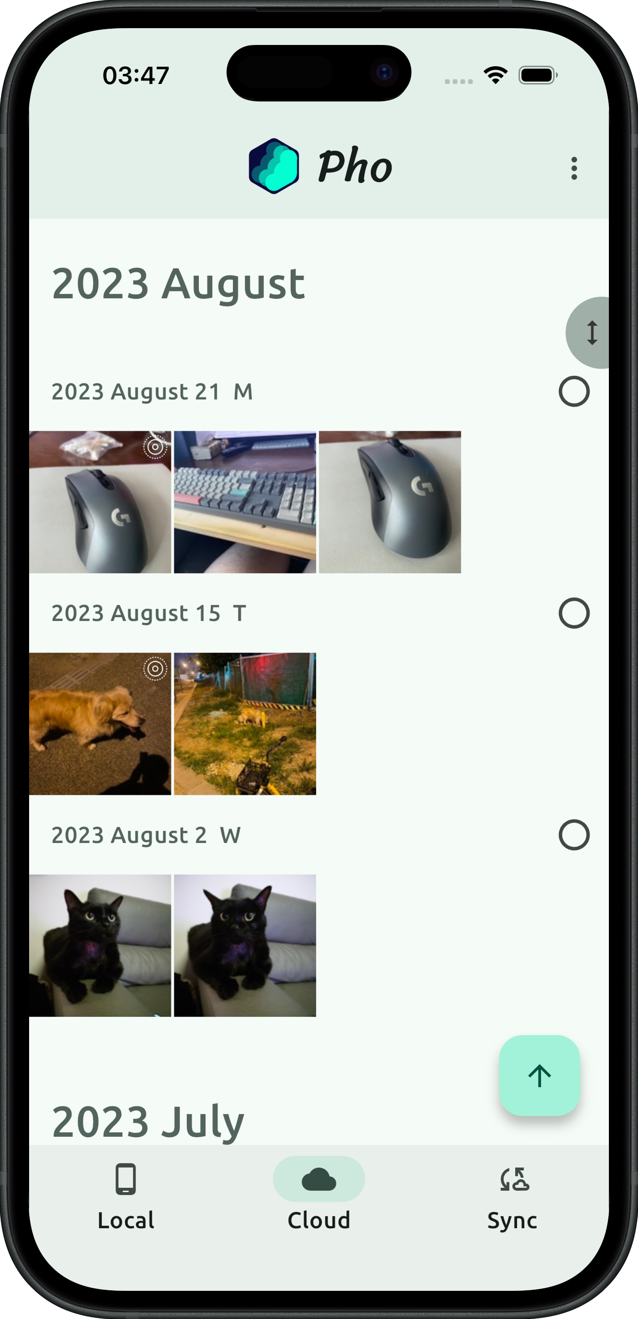 Pho app — unified gallery showing local and remote photos in one timeline