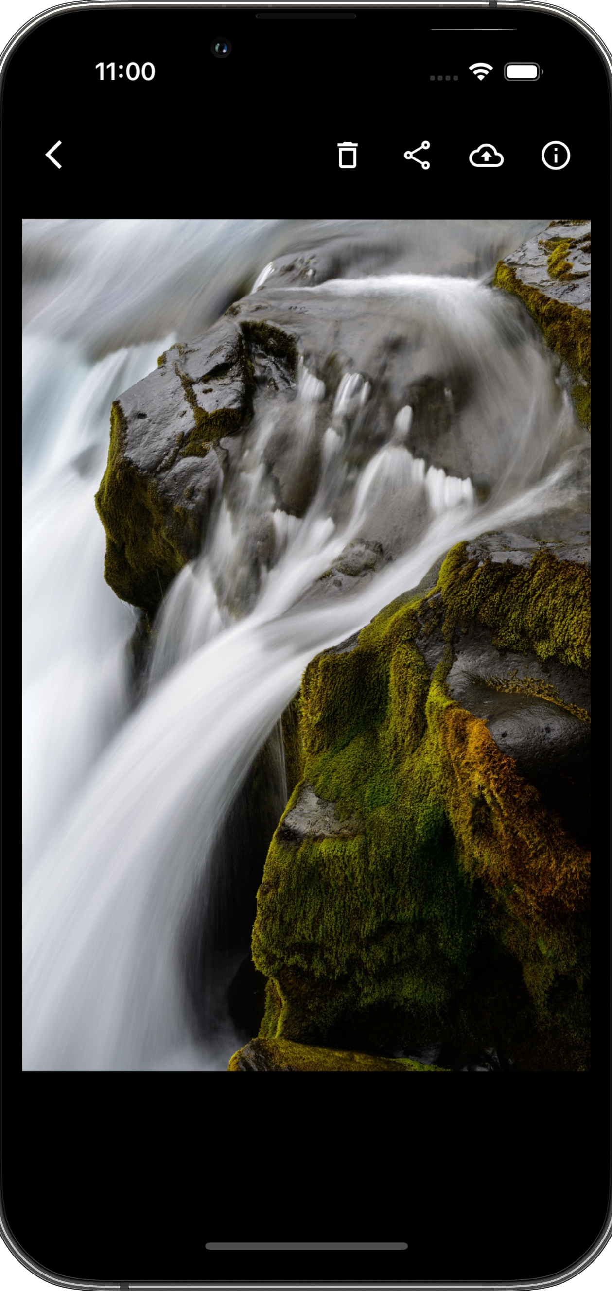 Pho app — photo stream view in the gallery