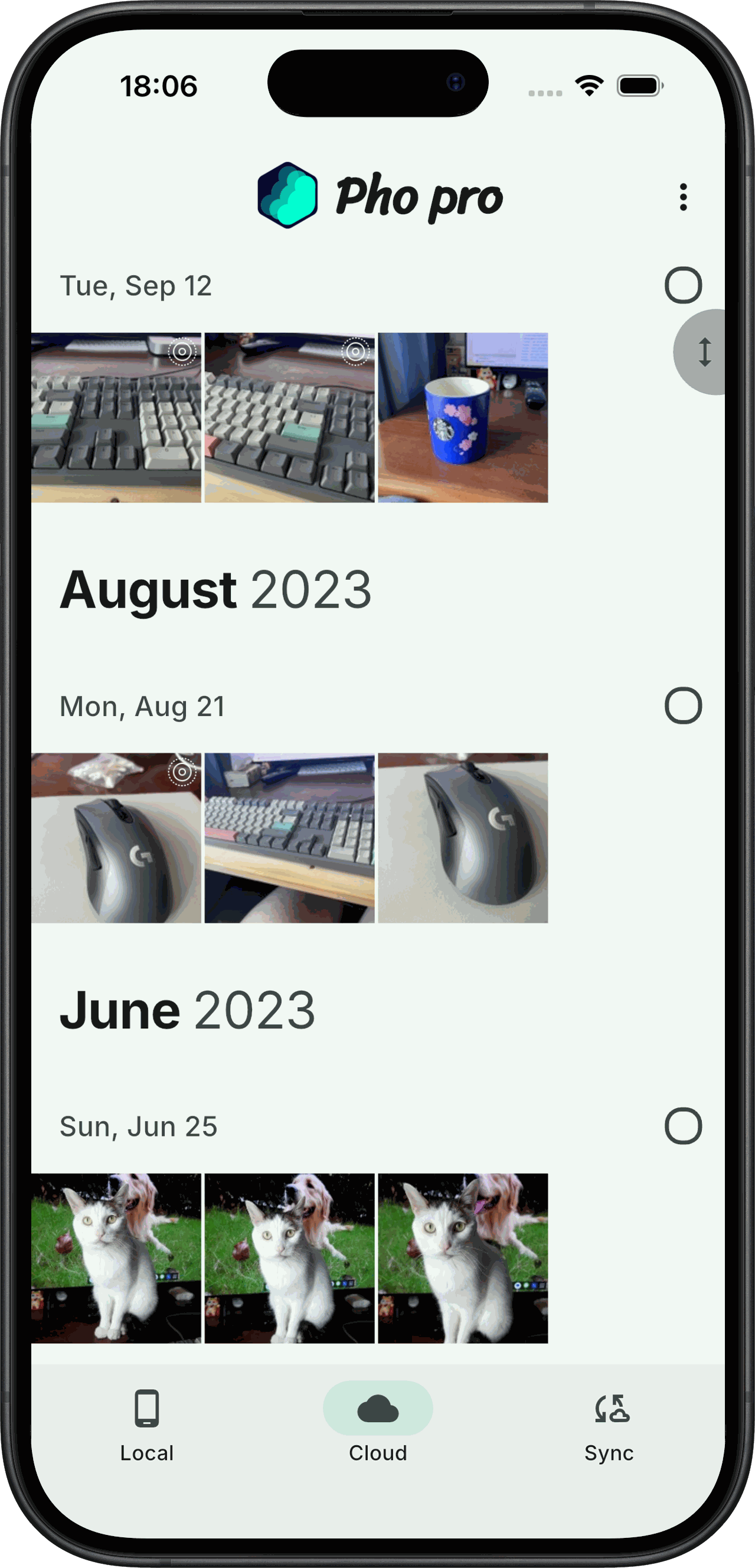 Pho app — unified gallery showing local and remote photos in one timeline